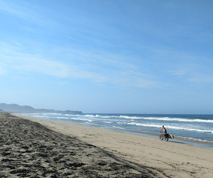 MBB Shortboard Racks