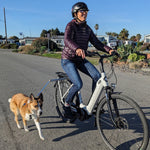 MBB Dog Runners