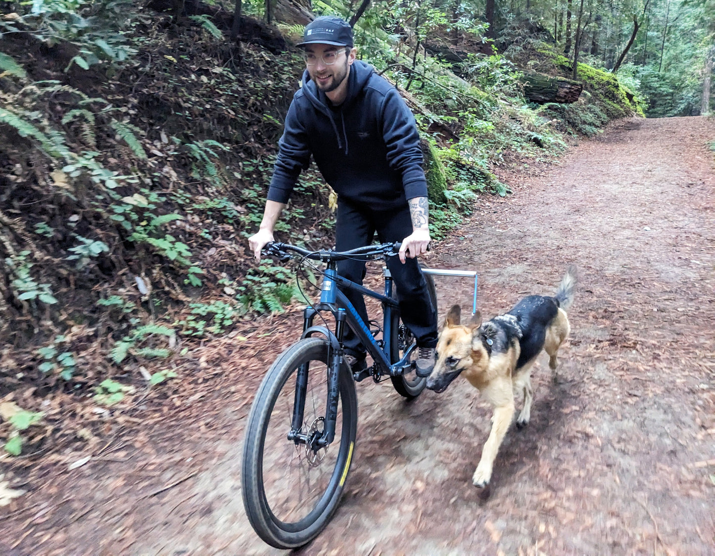 MBB Dog Runners
