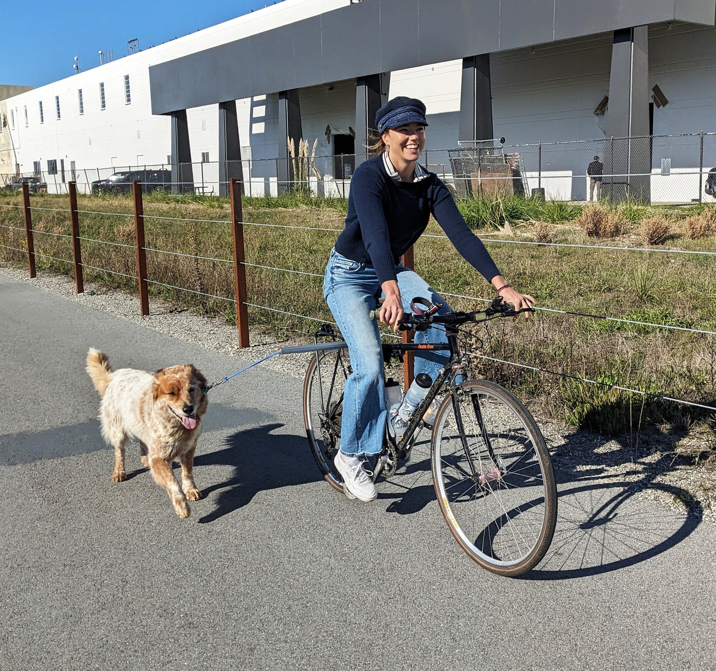 MBB Dog Runners