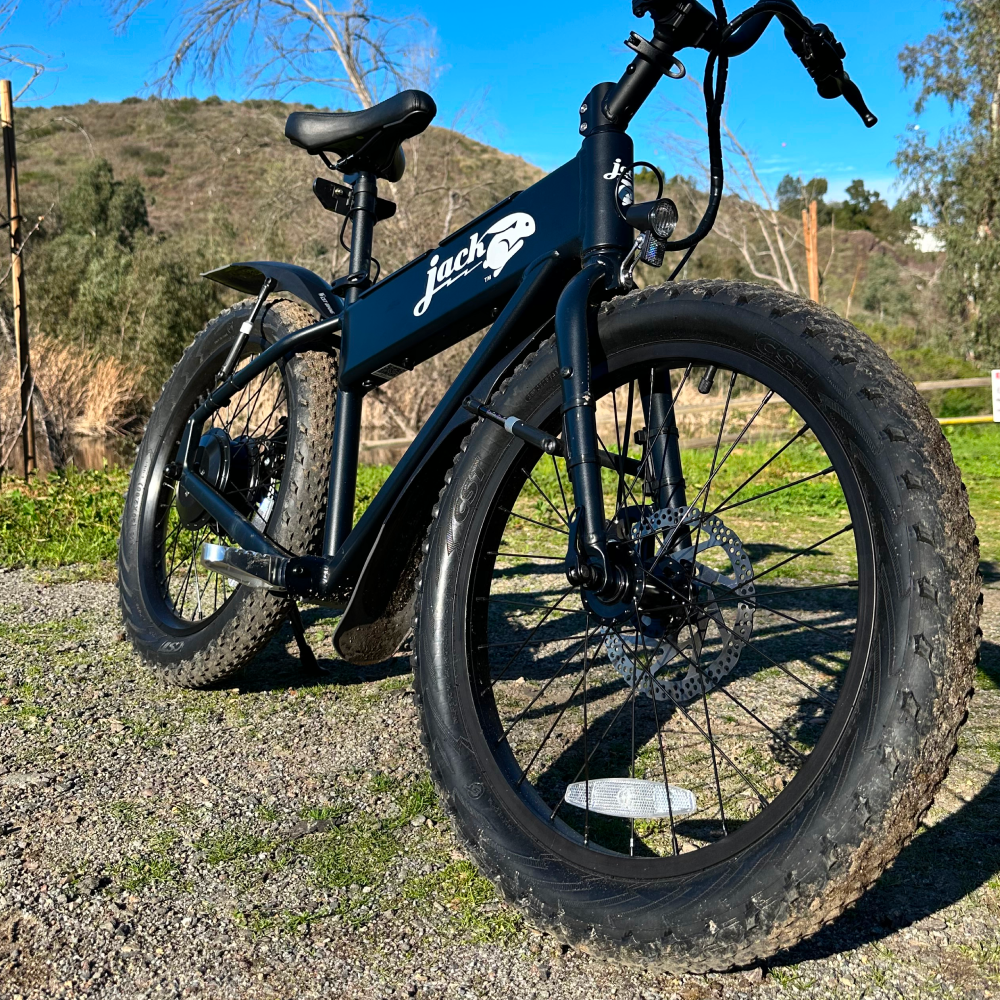 CST Fringe Mid-Fat Tire & Tube - XG & Rear for MG Doble & MG Cargo