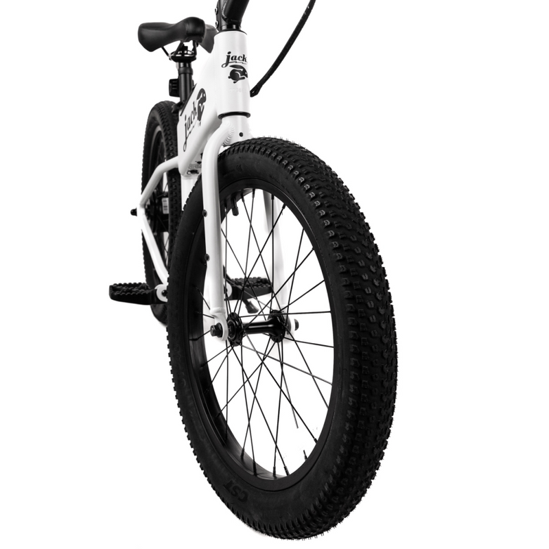 CST All-Terrain Tire & Tube for OG2