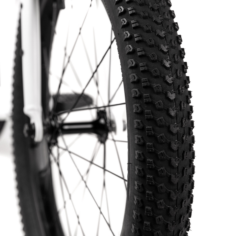 CST All-Terrain Tire & Tube for OG2