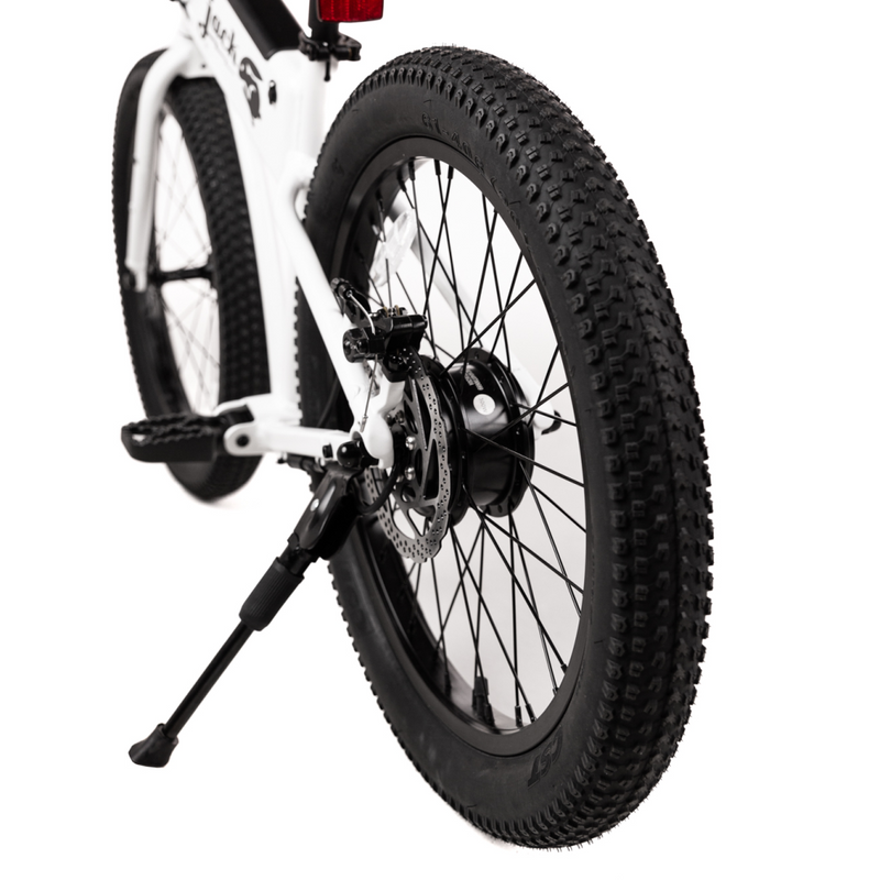 CST All-Terrain Tire & Tube for OG2